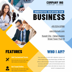 Business Flyer 2
